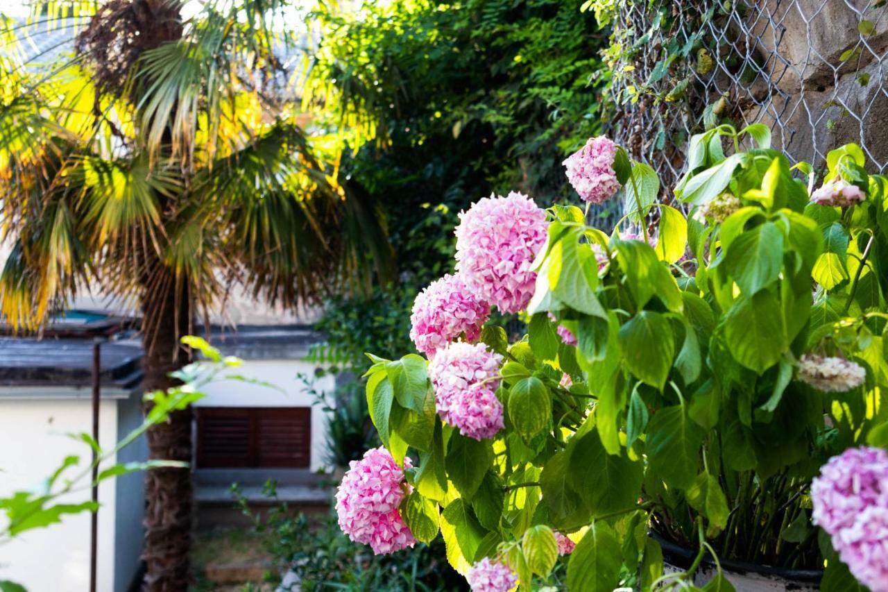 Little Fish Studio Rijeka Exterior photo